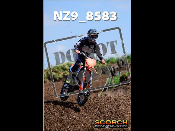 IntersGreenOrange-249