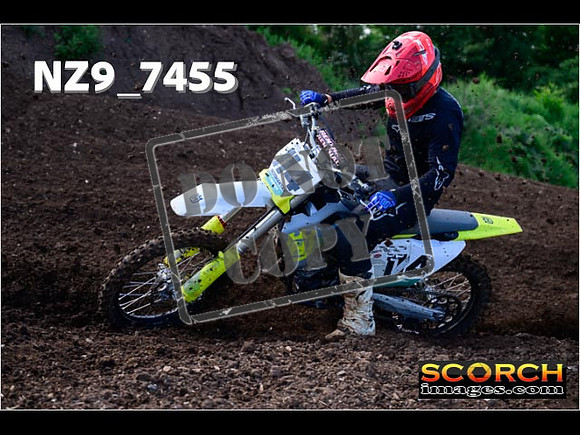 Experts-099