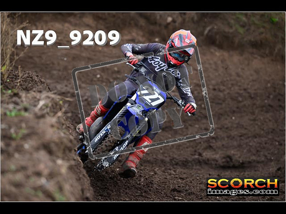Experts-018