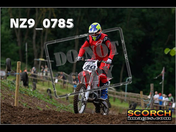 Experts-053