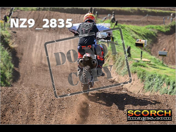 Experts-133