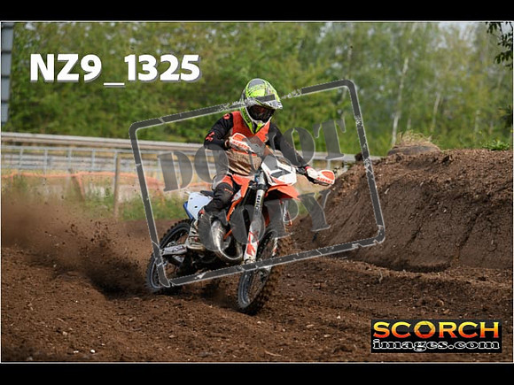 Experts-033