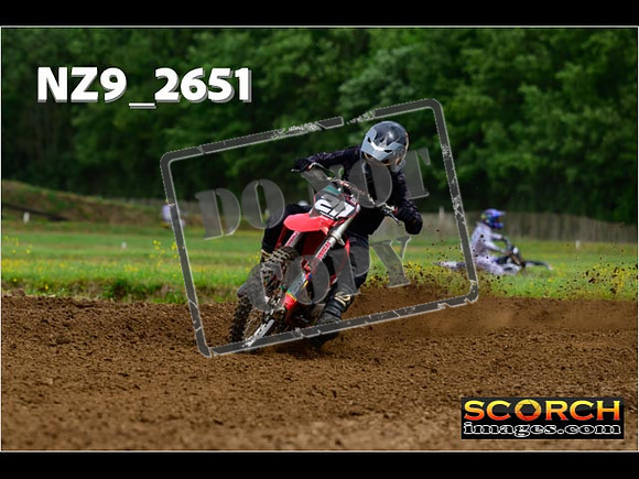 Novice-240