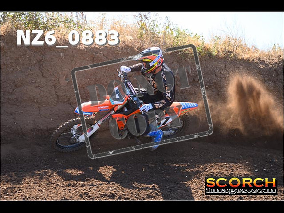 Experts-043