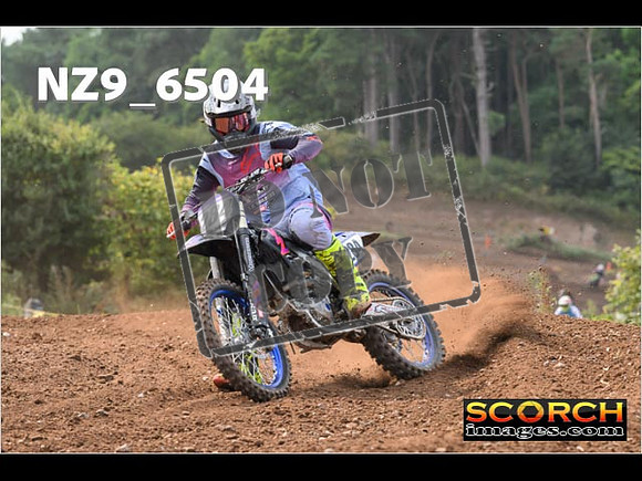 Experts-213