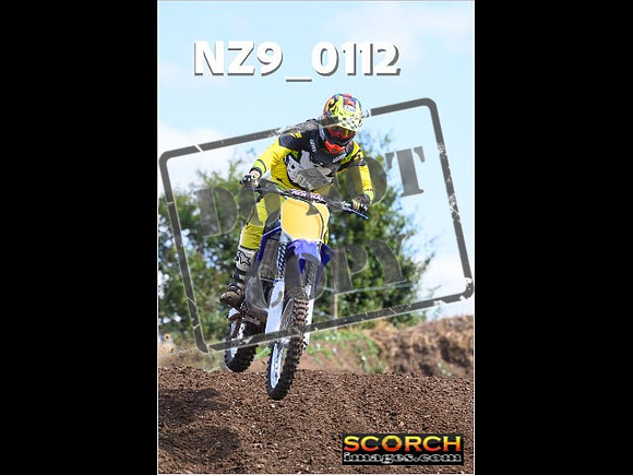 Experts-122