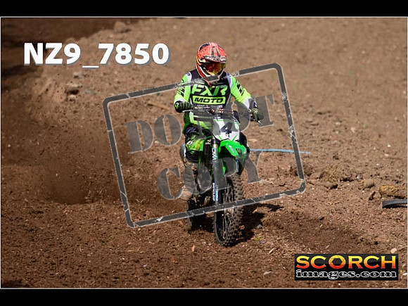 IntersGreenOrange-053