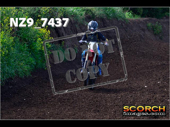 Experts-082