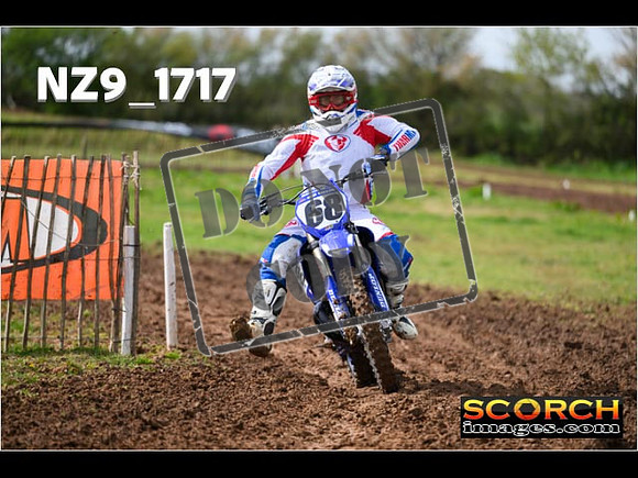 Experts-058
