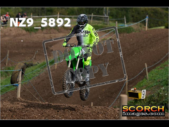 IntersGreen-081