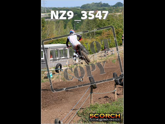 Experts-107