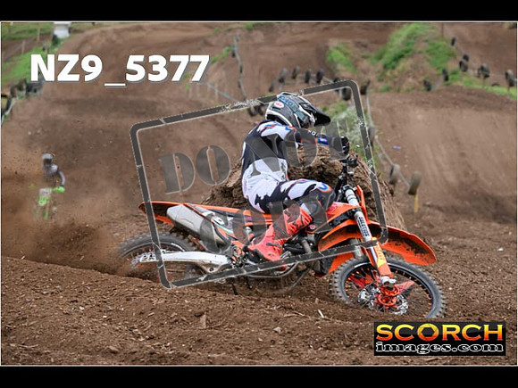 Experts-153