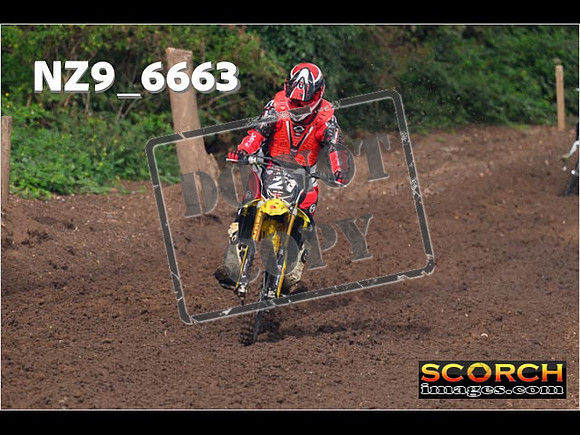 Red- Over 60-043