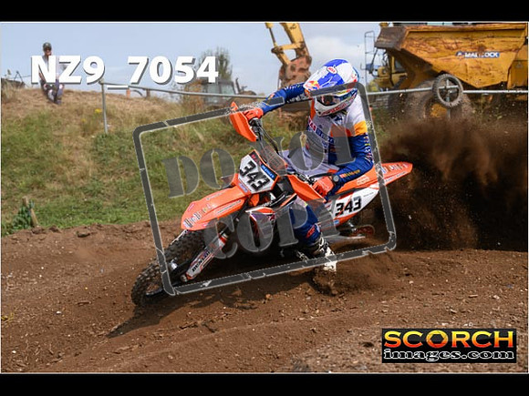 Experts-450