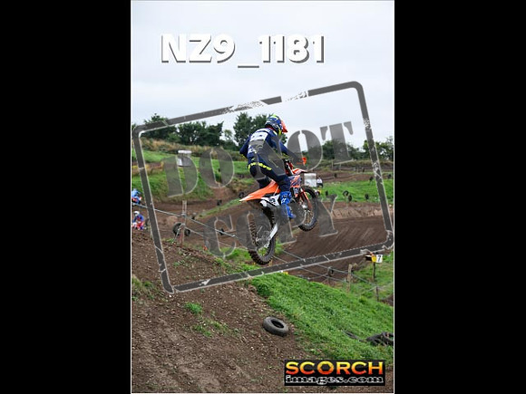Experts-119