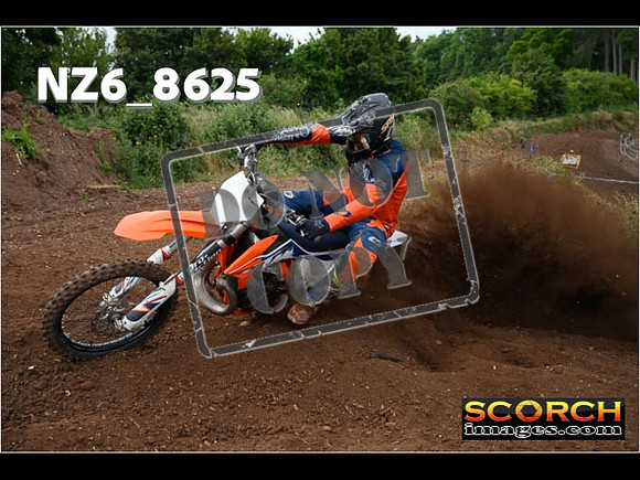 Experts-036