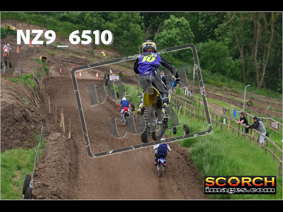 Experts-318