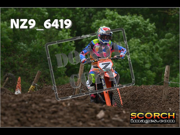 Experts-231