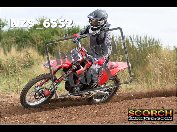 Experts-261