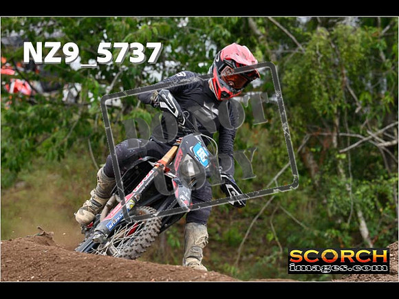 Experts-207