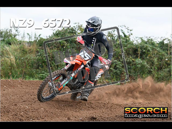 Experts-281