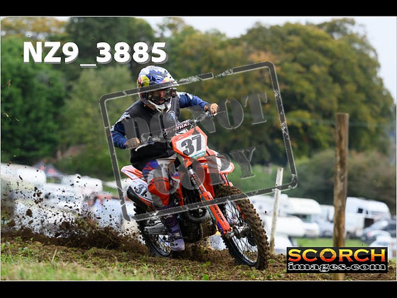 Experts-075