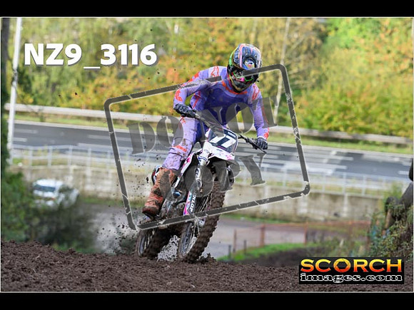 Experts-110