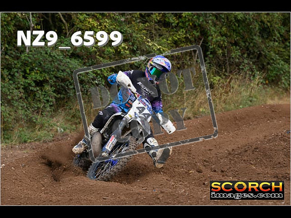Experts-304