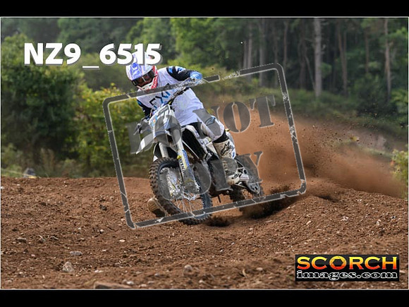 Experts-224
