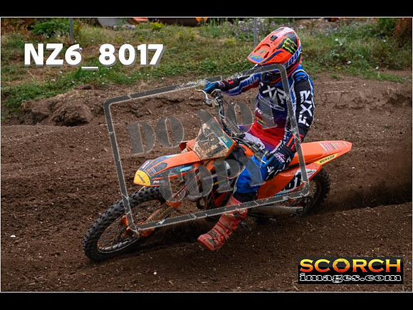 Experts-203