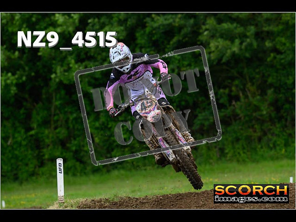 Experts-232
