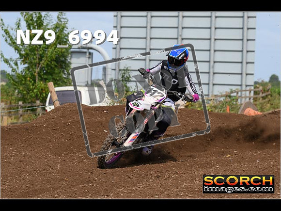Experts-391