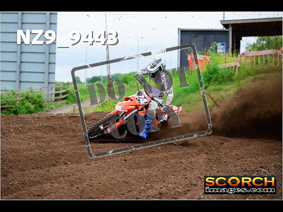Experts-046
