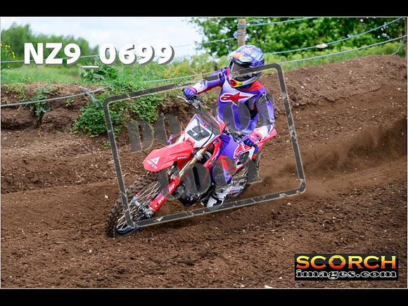 Experts-028