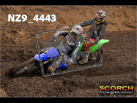 Experts-284