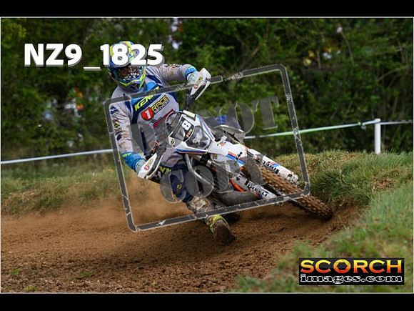 Novice-135