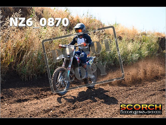Experts-032