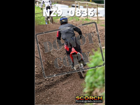Experts-104