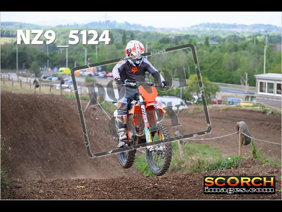 InterGreenOrange-246