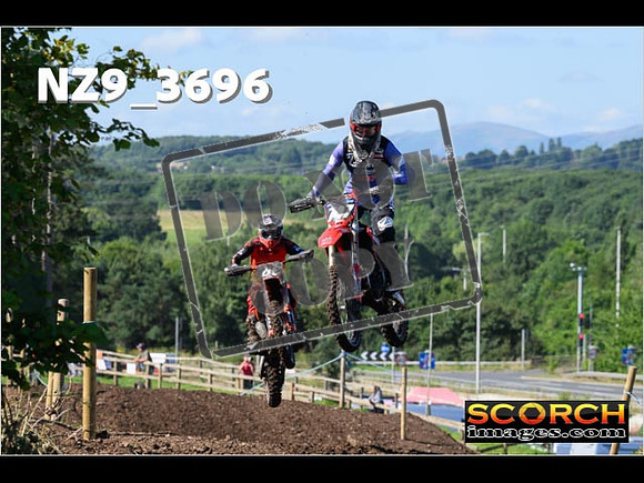 Experts-062