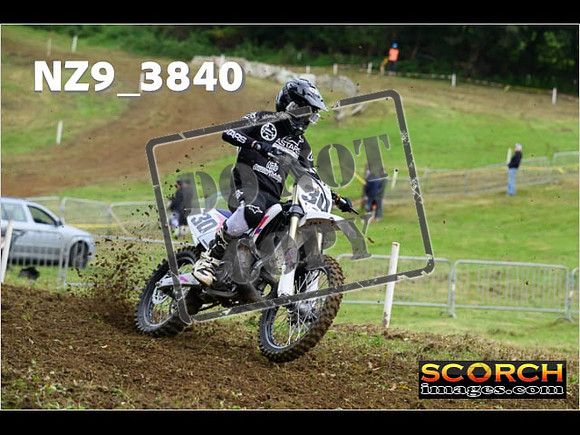 Experts-034