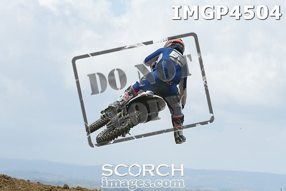 IMGP4504