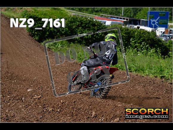 Experts-131