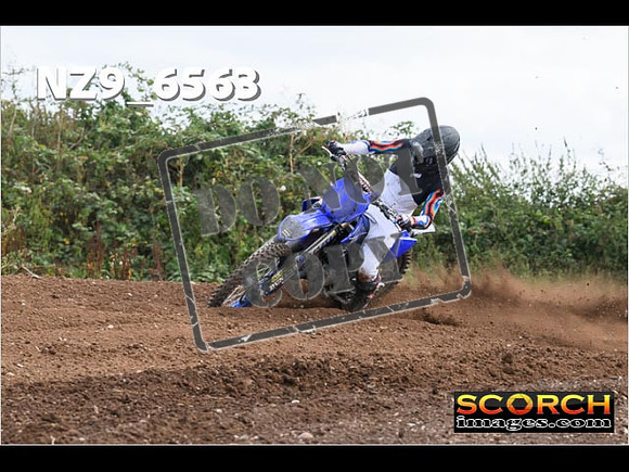 Experts-272