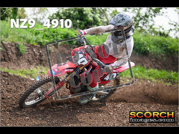 Experts-119