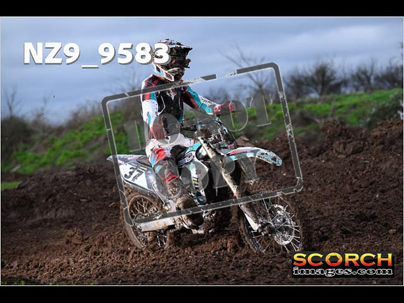 Intermediates-268