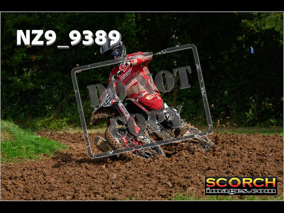 Experts-057