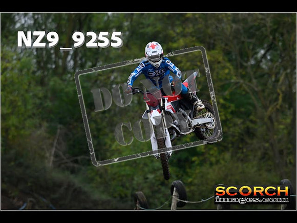 Experts-061