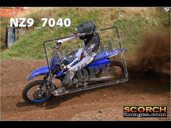 Experts-436