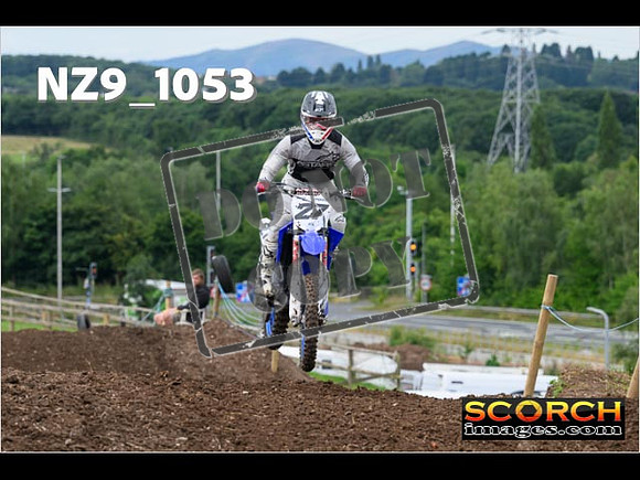 IntersGreen-068
